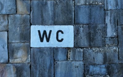 Bathroom Safety When Outside the Home